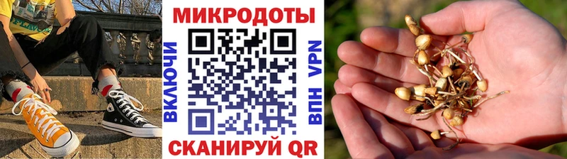 Псилоцибиновые грибы мухоморы  Ленинск 